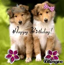 Happy birthday gif pictures have become one of the popular ways of birthday congratulations. Puppies Gif Find On Gifer