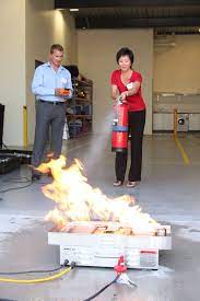 Intelligent Training System Its Bullex Australia
