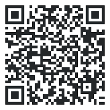 Una vez abierta la aplicación, simplemente apunta con ella hacia el. Qr Code Problema Con El Codigo Qr Estoy En Peligro