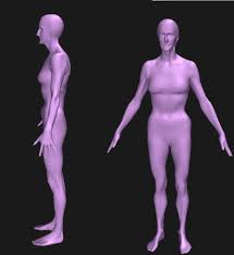 The body visualizer game uses your body type, height, current weight and goal weight to display a virtual model of you at your desired weight. 3d Body Visualizer Neogaf