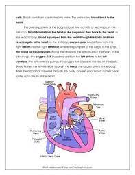 Take blood back to the heart. Pin On Education Worksheets Template