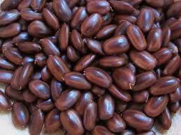 And, now that the summer is upon us, a common question from backyard gardeners is: Samanea Saman Seeds Rain Tree Seeds At Rs 550 Kilogram à¤ª à¤¡ à¤• à¤¬ à¤œ à¤Ÿ à¤° à¤¸ à¤¡ Agro Seeds Chennai Id 18184714155