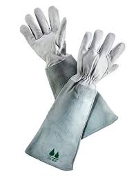 Are cactus thorns poisonous ? 5 Best Gloves For Handling Cactus Succulent Alley