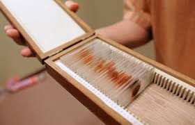 For eight seasons and 96 episodes, dexter literally got away with murder. Dexter S Kill Room Deciphered Inside The Art And Artistry Of Creating The Showtime Hit S Signature Scene Archive Pressofatlanticcity Com