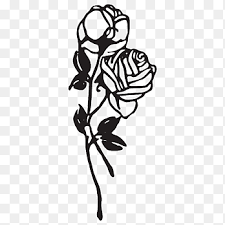 Line drawing tattoo design, article tattoo rose line drawing, what we write can make you understand. Rose Tattoo Png Images Pngegg