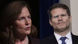 Donald Trump Supporter: It's not a dog, It's Hillary