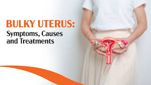 Image result for uterus
