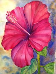 Water Color Hibiscus Tattoo Google Search Dessin Fleur Peinture Multicolore Dessin