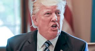 Trump: Kathy Griffin 'should be ashamed of herself'