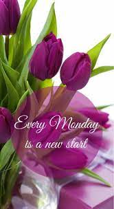 Monday Greetings Good Morning Picture Good Morning Flowers