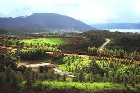 Puisi Desaku Desaku Yang Kucinta Puisi Persahabatan Alam Puisi