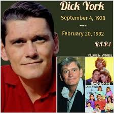 Bewitched actress played flappable character