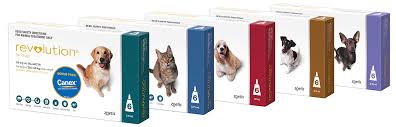 Frontline vs advantix for dogs, learn more about choosing the best flea & tick treatment for your dog. What S The Difference Part 1