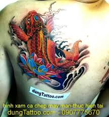 Golden gift việt nam) các bức tranh mang hình ảnh của bộ đôi này được lựa chọn nhiều nhất là tranh cửu ngư, tranh đôi cá vờn trăng, tranh cá chép hoa sen sơn dầu, tranh hoa sen cá chép đơn… Tattoo Ca Chep Hoa Rong 3d