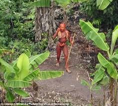 The Lost Tribe Staring Extinction In The Face Extraordinary New Pictures Of Life In The Depths Of The Amazon Jungle Amazon Tribe Rainforest Tribes Tribes Of The World