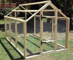 Epingle Sur Poules