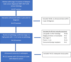The most common in 2020 (in terms of new cases. Ultrasound Characteristics Of Early Stage High Grade Serous Ovarian Cancer American Journal Of Obstetrics Gynecology