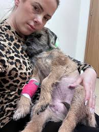 Update January 4, 2022: Thank you all, so much! We are so beyond grateful  for all the thoughts and prayers, and for the support this community  brings! It truly warms our hearts