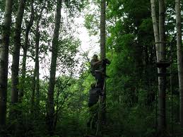 Holds up well to high uv and harsh winter weather conditions experienced at high altitude in wyoming. Lovin The Big Bang A Blog About Big Bore Rifles Page 2