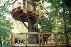 We did not find results for: Microsoft Built A Huge Treehouse For Their Employees