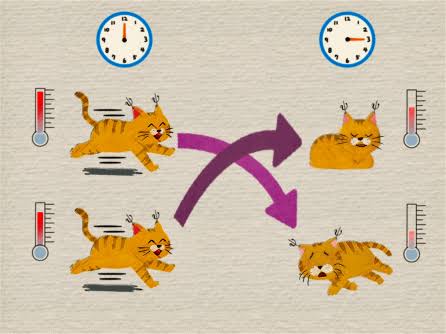 Quantum Mpemba effect hints at faster quantum computers – Physics World