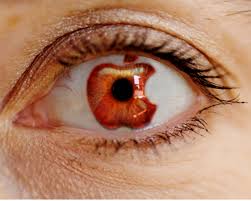 The phrase apple of my eye refers in english to something or someone that one cherishes above all others. What Is The Meaning Of You Are The Apple Of My Eye Question About English Us Hinative