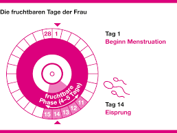 Eisprungrechner Fruchtbare Tage Per Fruchtbarkeitsrechner Bestimmen