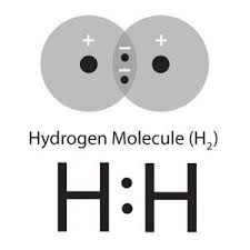 Multimedia Represent Bonding With Lewis Dot Diagrams Chapter 4 Lesson 6 Middle School Chemist Covalent Bonding Teaching Chemistry Middle School Chemistry