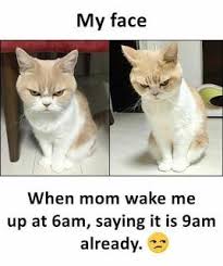 50 Most Funny Memes That Make Your Day Special Funny School Memes Crazy Funny Memes Really Funny Memes