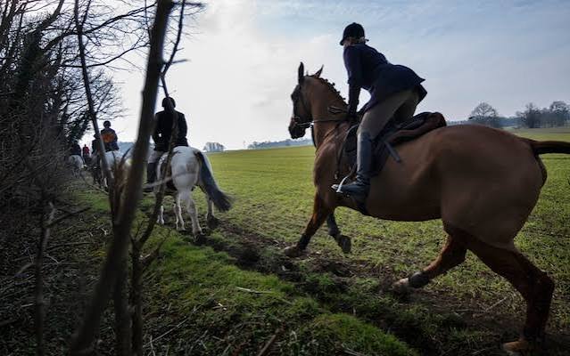 Hunting foxes is a British birthright – Unesco should protect it