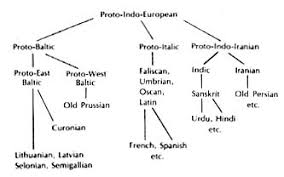 The Origin Of The Lithuanian Language