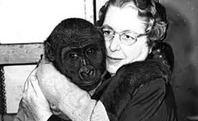 Local Icon Bobo Featured in AHS Rock Documentary