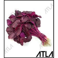 Pokok e mantap mbak njuus Jual Benih Bayam Merah Ratusan Biji Bibit Tanaman Sayur Sayuran Refill Di Lapak Maju Makmur Bukalapak