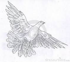 Bird With Wings Spread Drawing Easy White Dove Pencil Sketch Pencil Drawings Bird Drawings White Doves