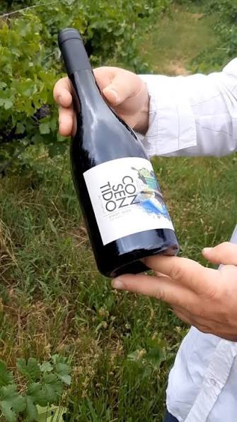 Hace 23 años apostamos al Pinot Noir en el Valle de Pedernal... hoy se dan en este terruño los mejores Pinot Noir de la Argentina. , Martín Azcona, Winemaker. , Esto es el Valle de Pedernal, te ...