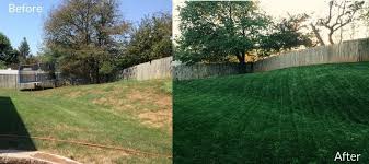 We did not find results for: A Lawn Before And After Applying Milorganite Fertiizer Fall Lawn Green Lawn Lawn