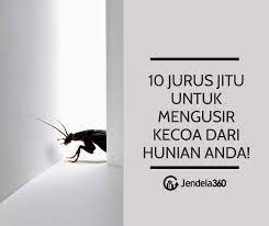 Maybe you would like to learn more about one of these? 10 Jurus Jitu Untuk Mengusir Kecoa Dari Hunian Anda