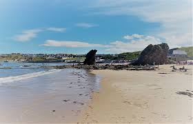 Image result for Cullen