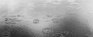 If you're in search of the best rain wallpapers, you've come to the right place. The 20 Most Beautiful Animated Rain Gifs Positive Energy