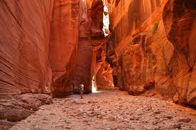 Buckskin gulch has an intimidating reputation, but it can be enjoyed by anyone with proper preparation. Buckskin Gulch Via Wire Pass Your Hike Guide