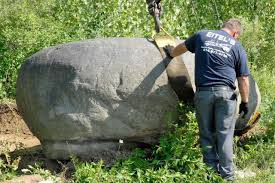 We did not find results for: How To Remove Rocks From Yard And Soil 2021 A Nest With A Yard