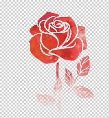 Closeup of rosetta flower drawing in foam. Red Rose Illustration Flower Watercolor Painting Drawing Rose Watercolor Flowers Watercolor Leaves Hand Heart Png Klipartz