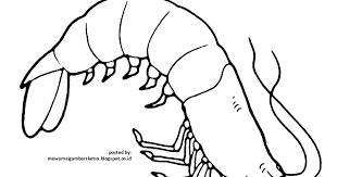 Tentunya gambar kartun ini dibuat manual. 53 Top Gambar Udang Kartun Hitam Putih