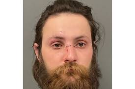 Moorhead man pleads guilty in crash that killed woman, dog