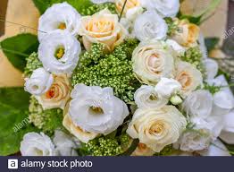 Pretty flowers rose garden plants pure products petals white roses shades of white white flowers love rose. Lisianthus Eustoma Flowers White Rose The Plant That Look Like A White Rose But Without Thorns Stock Photo Alamy