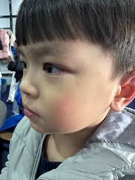 已獲得管理員批准（吉隆坡） ❤️新開的snow world就在monkey canopy  即日起免費體驗室內冰雪樂園至3/1/2025❤️（只限於Places Malaysia 的粉絲，記得follow 他們的小紅書/ insta  然後給工作人員看就可以免費入場。 聖誕節要到了，可以帶家人去感受一些下雪和冰冷的感覺