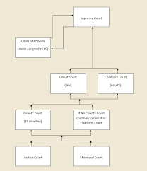 mc law judicial data project