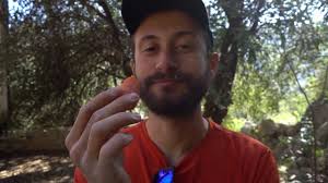 Highline Rescue Methods