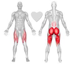 This exercise for leg pain helps to stretch your hamstring muscles (back of thigh) and also to. Legs Exercises Workouts Freetrainers Com