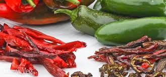 As such, it is occasionally used as a rattle. Growing Peppers From Sowing To Harvest